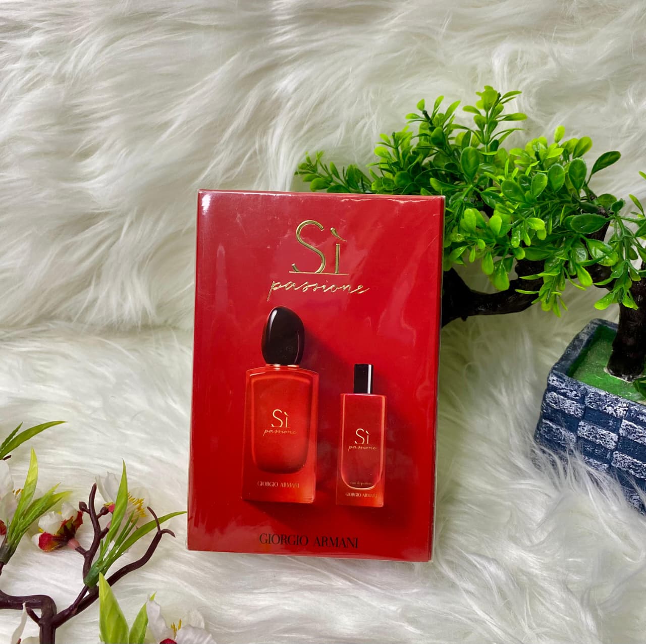 SET SI PASSIONE EDP