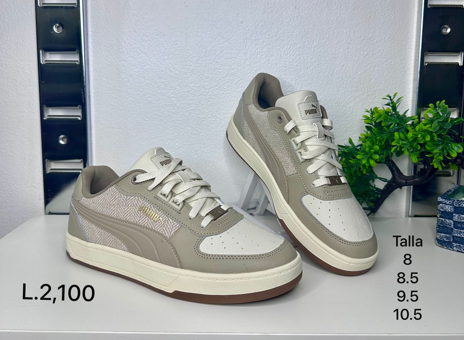 PUMA