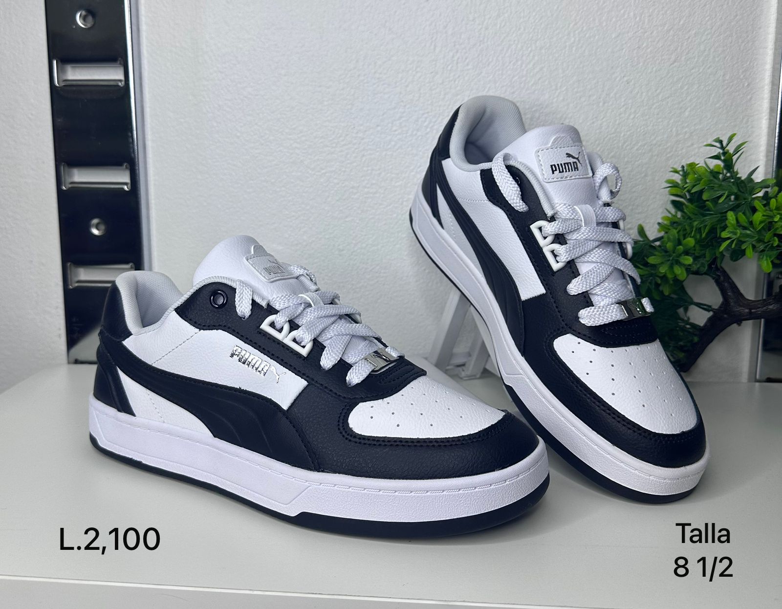 PUMA